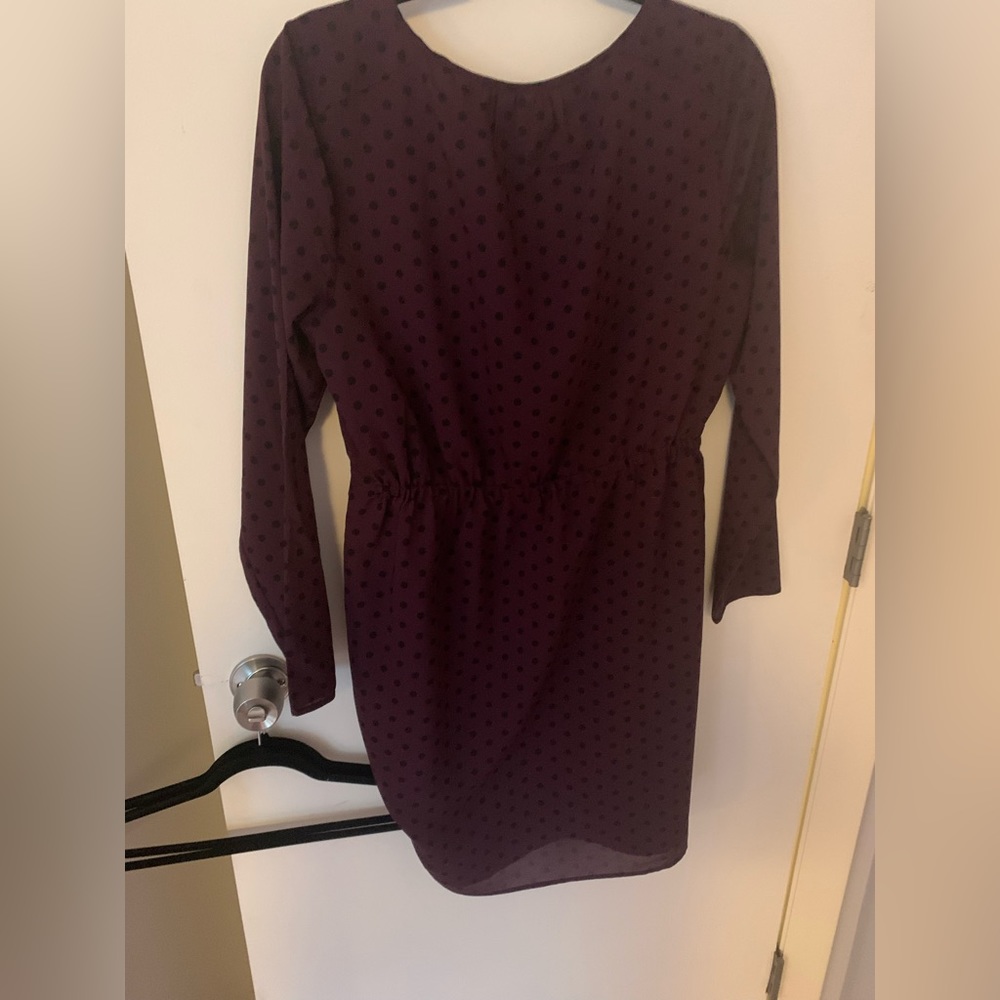 Jcrew dress Plum and Polkadots